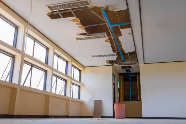 Best Professional water damage repair  in Barstow, CA