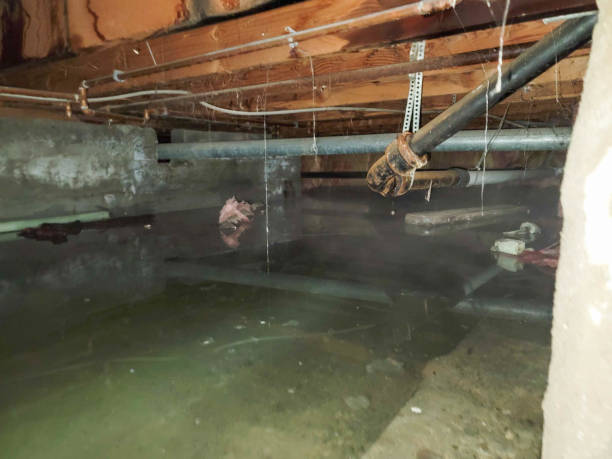 Water damage restoration mold remediation in Barstow, CA