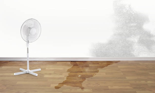 Best Flood damage cleanup  in Barstow, CA
