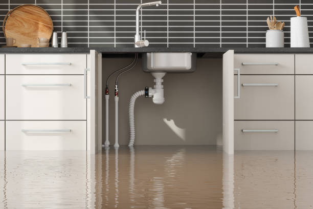 Best Water damage contractors near me  in Barstow, CA