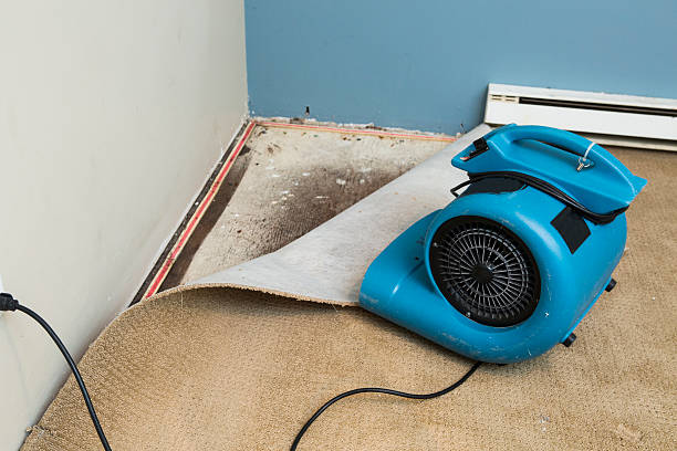 Best Ceiling water damage repair  in Barstow, CA